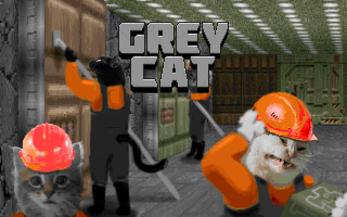 Grey Cat