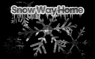 Snow Way Home